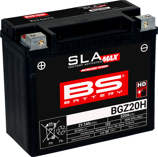 BS Battery - BGZ20H