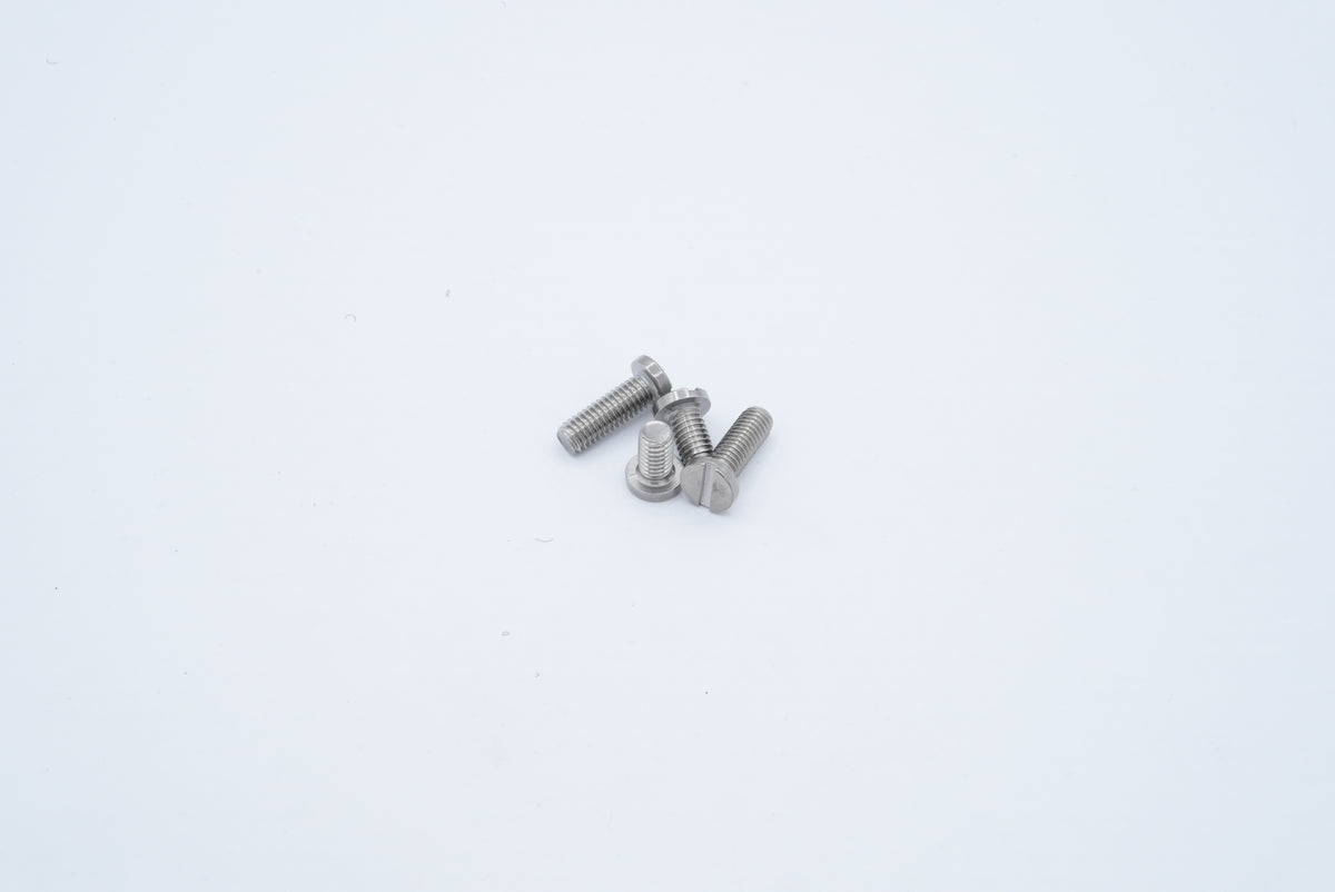 LS2 Street Fighter/Ohm Screws - Silver