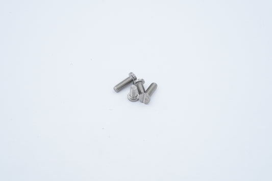 LS2 Street Fighter/Ohm Screws - Silver