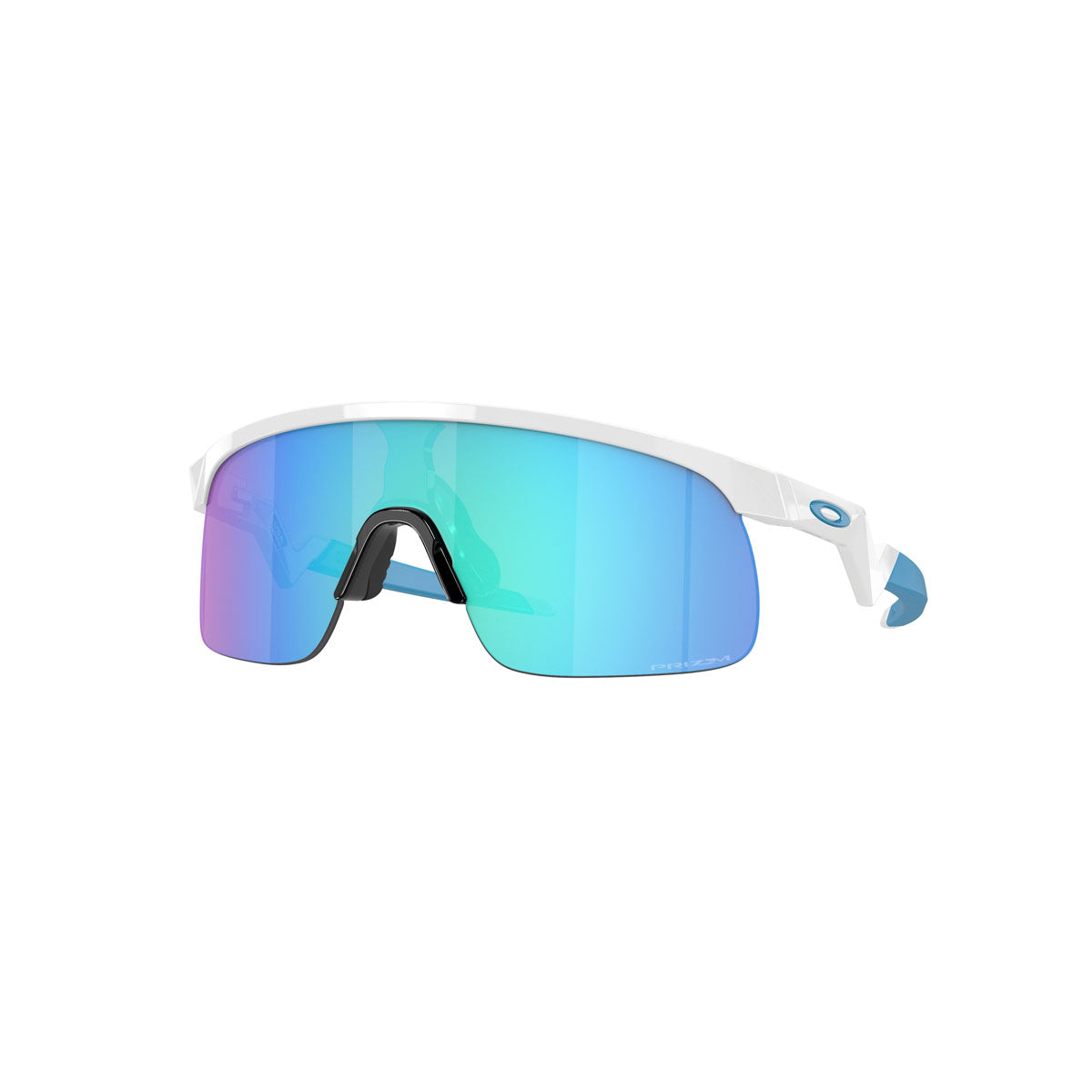 Oakley Resistor Youth Sunglasses– ExtremeSupply.com