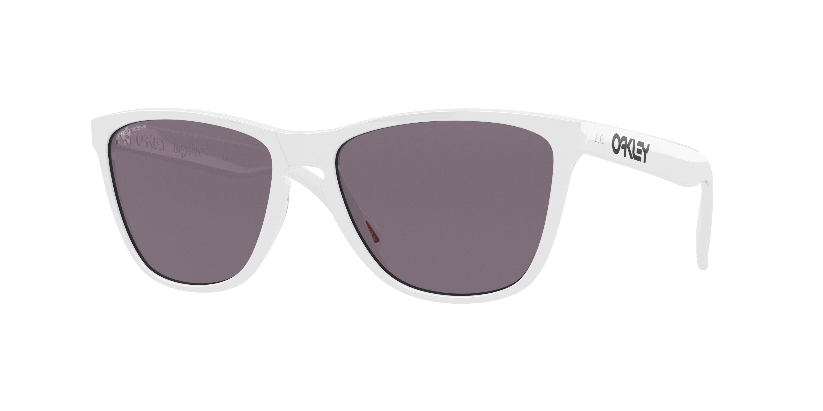 Oakley Frogskins 35th Anniversary Sunglasses– ExtremeSupply.com