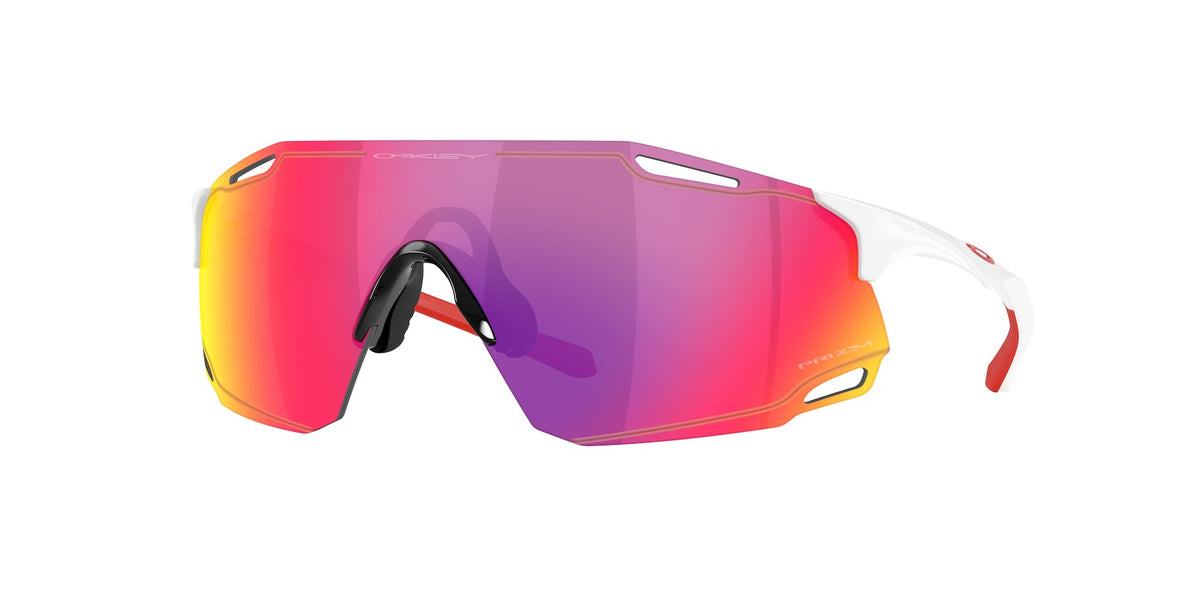 Oakley Cyber Dyno Sunglasses