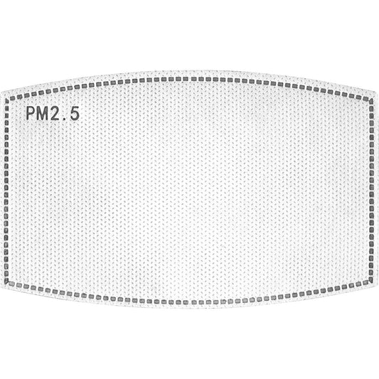 ZAN Headgear Replacement PM 2.5 Filter - 