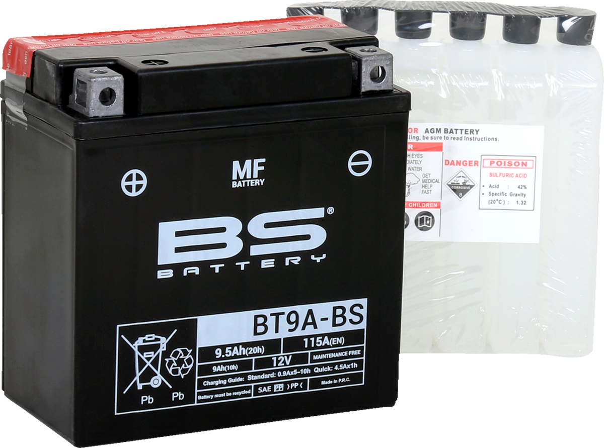 BS Battery - BT9A-BS (YT)