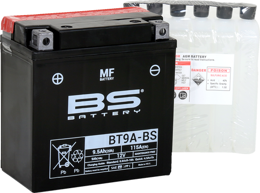 BS Battery - BT9A-BS (YT)