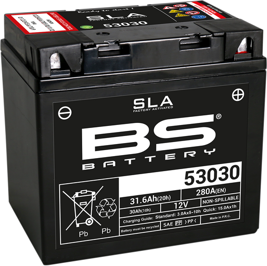 BS Battery - 53030