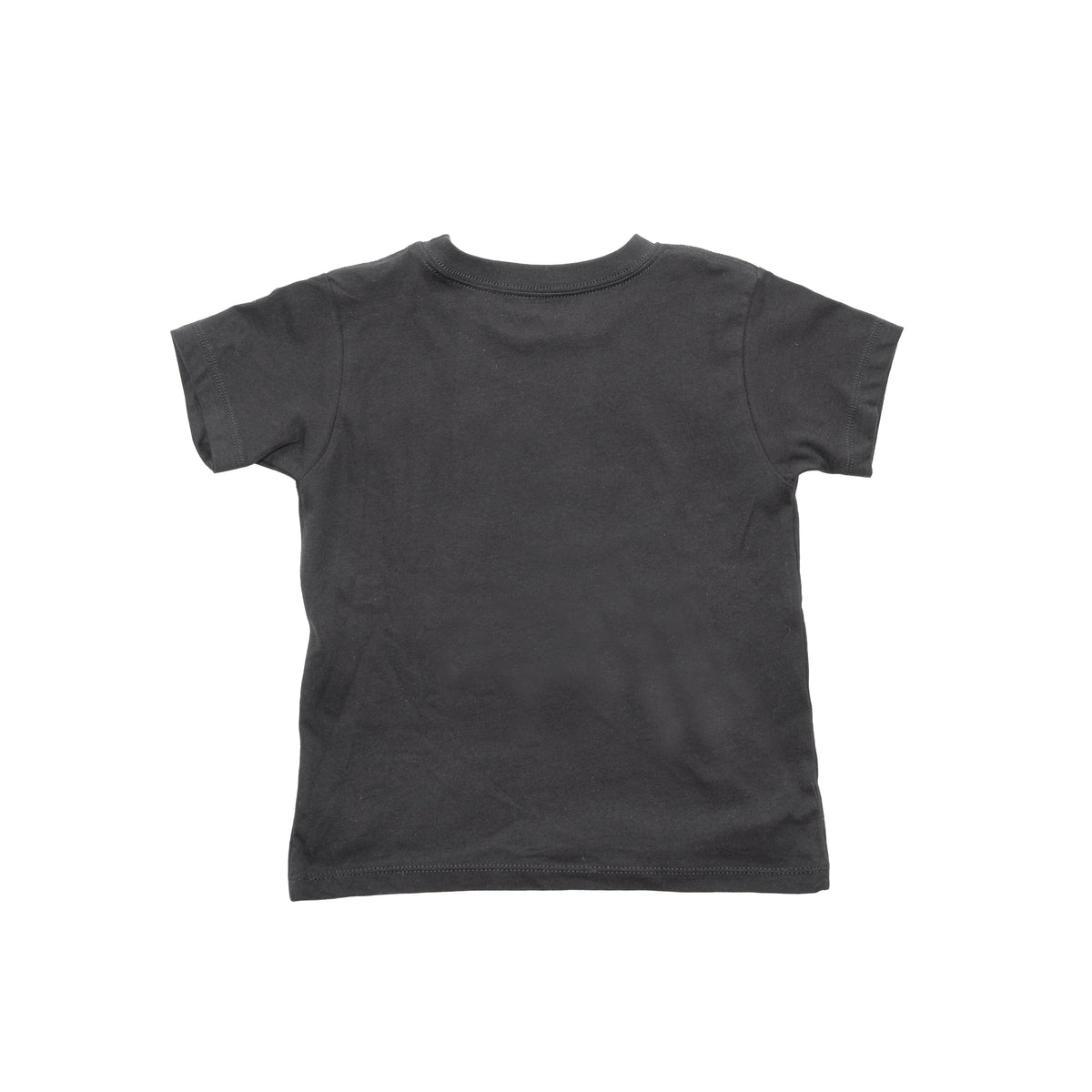 Fasthouse Toddler WFF Tee