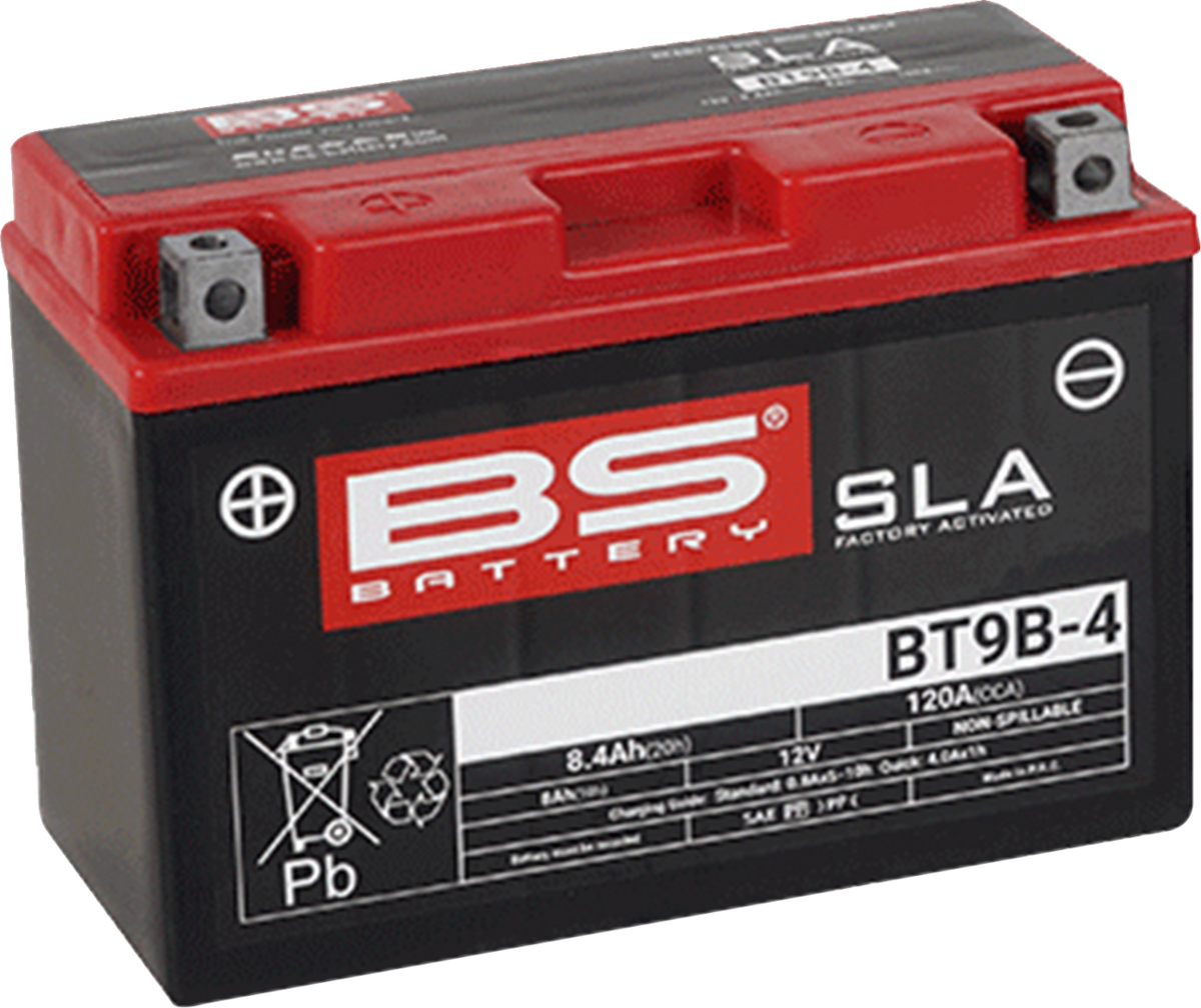 BS Battery - BT9B-4 (YT)