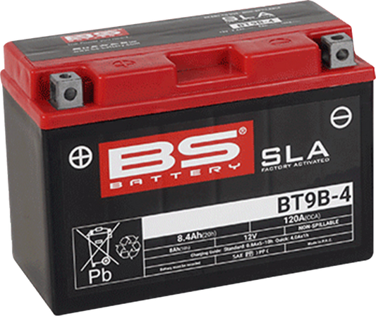 BS Battery - BT9B-4 (YT)