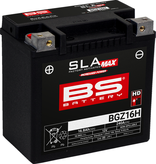 BS Battery - BGZ16H