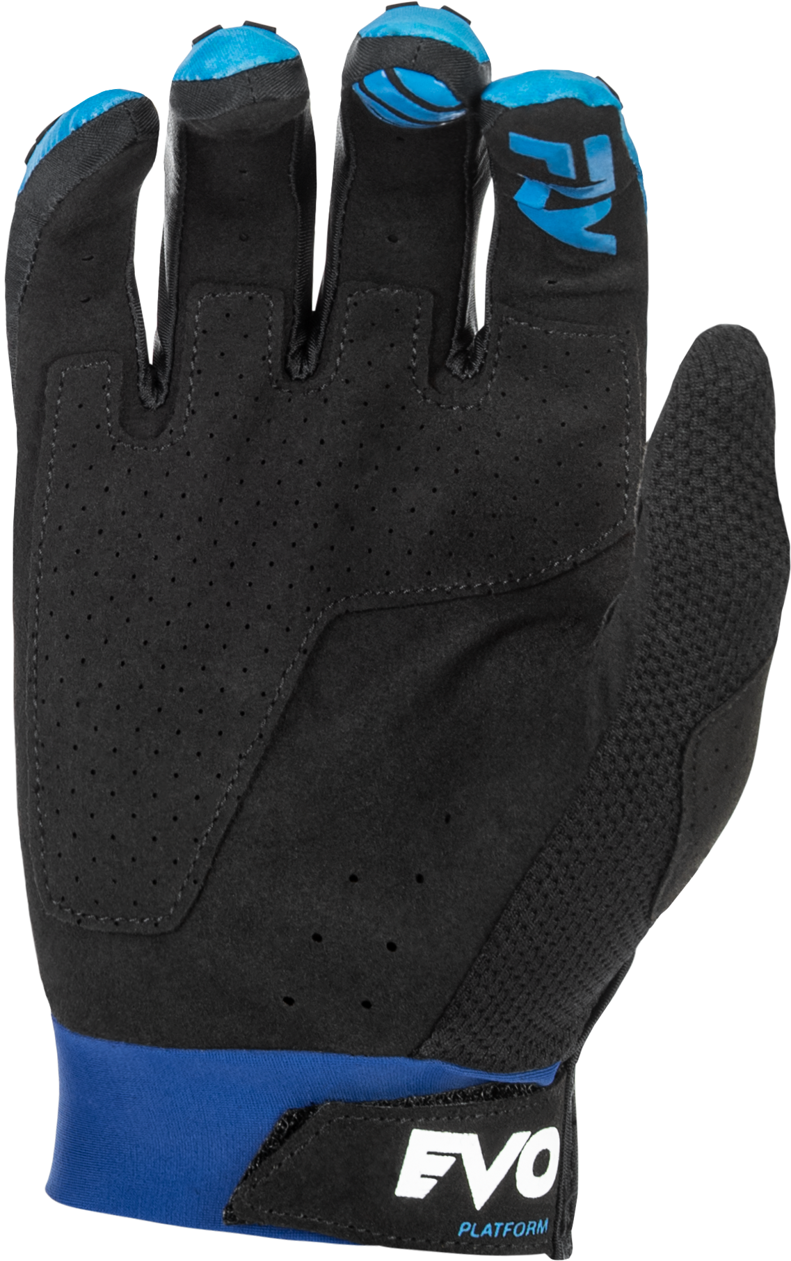 Fly Racing Youth Evolution Dst Gloves - Blue/White
