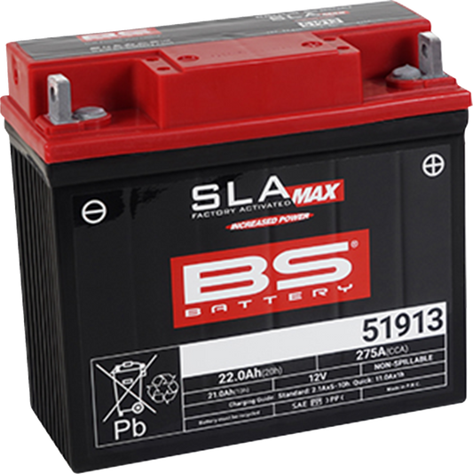 BS Battery - 51913