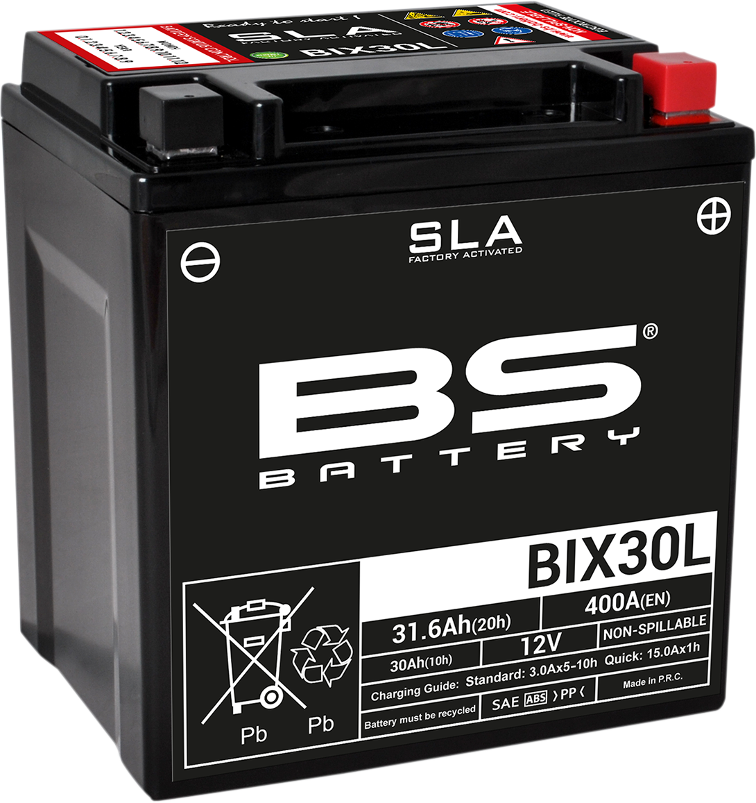 BS Battery - BIX30L (YIX)