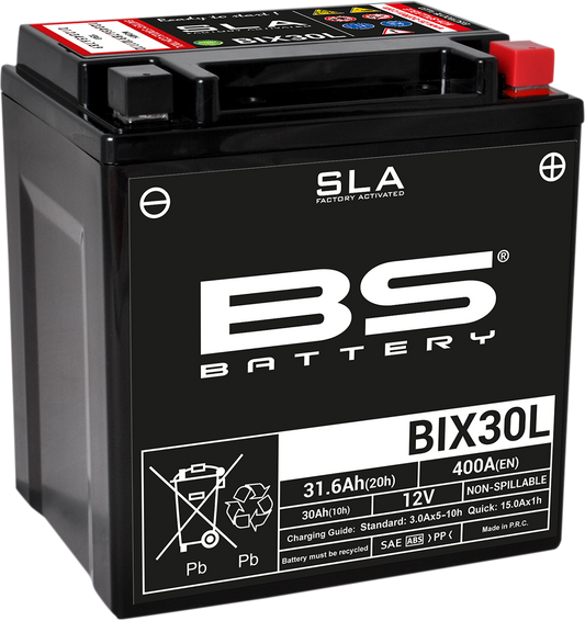 BS Battery - BIX30L (YIX)