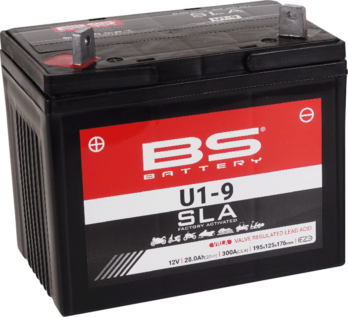 BS Battery - U1-9
