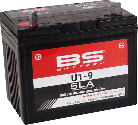BS Battery - U1-9