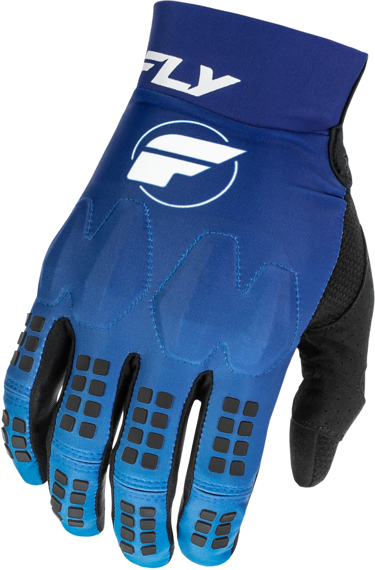 Fly Racing Evolution Dst Gloves - Blue/White