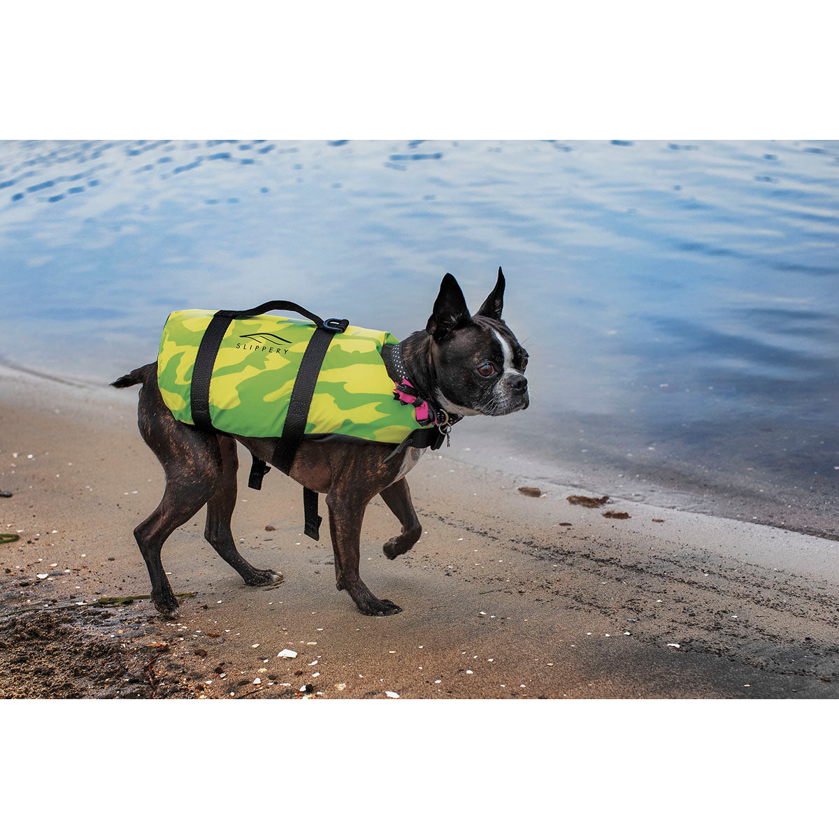 Slippery Pet Vest