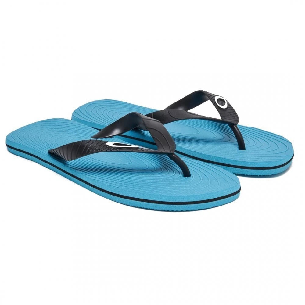 Oakley Catalina Flip Flops